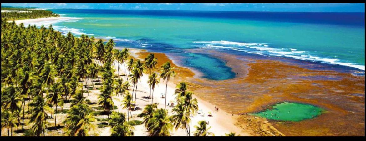 Casa Praia Do Forte - Piscinas Naturais Farol エクステリア 写真